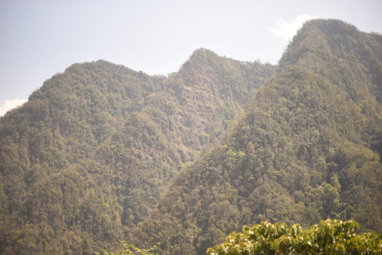 A steep forested mountain face above the valley