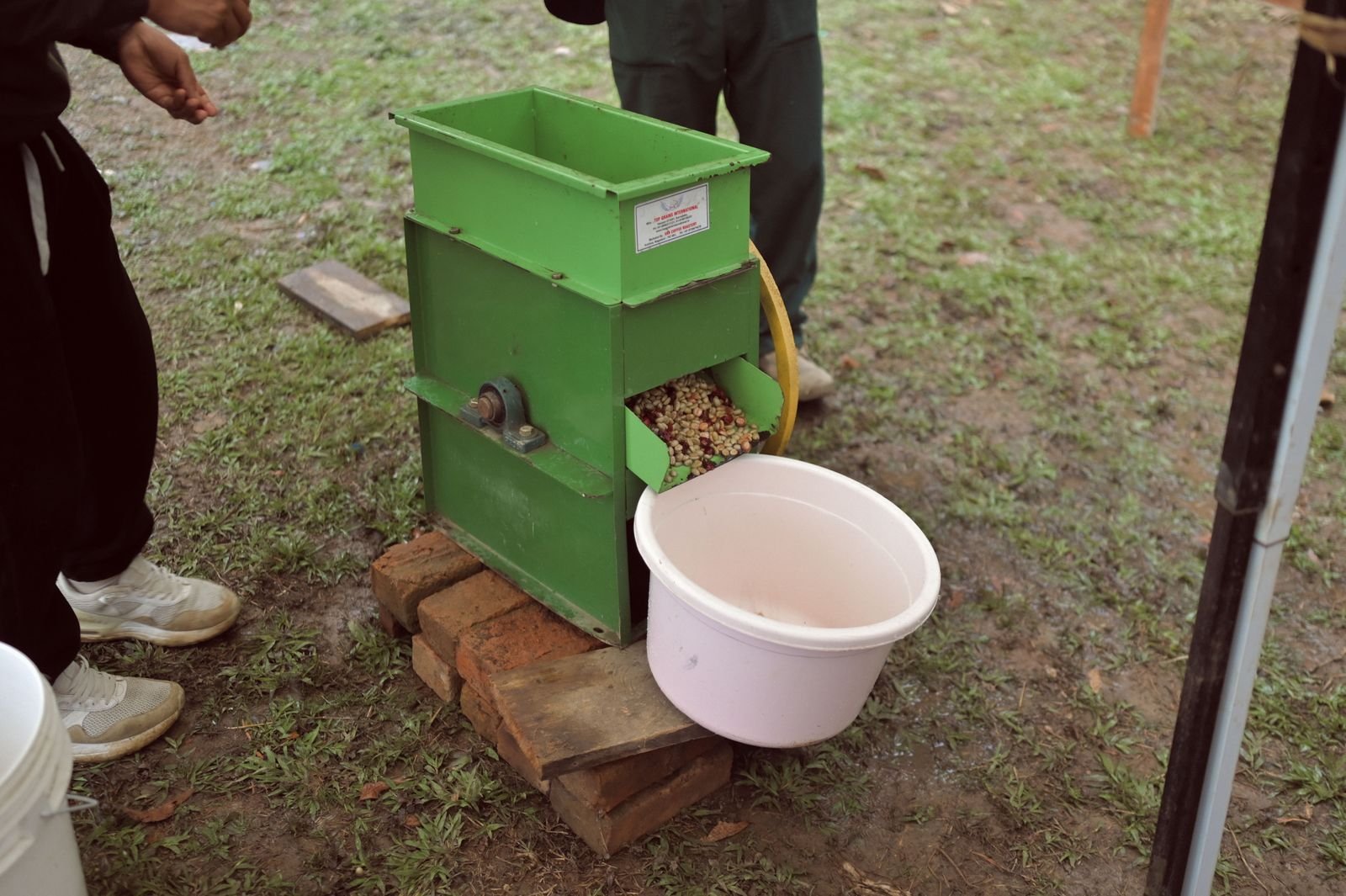 A hand-cranked pulper with freshly pulped beans