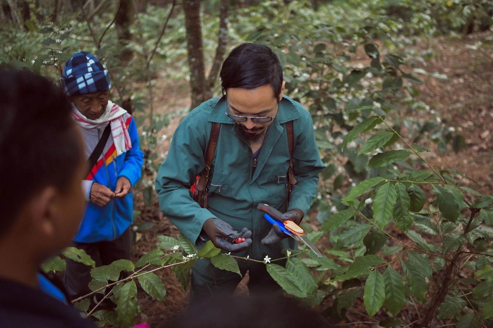 A trainer examining cherry with a farmer in a shade-grown coffee plot