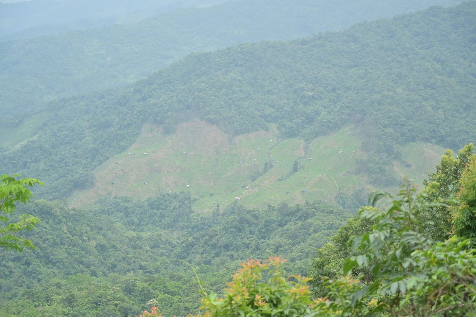 Mist over forested ridges of the project landscape
