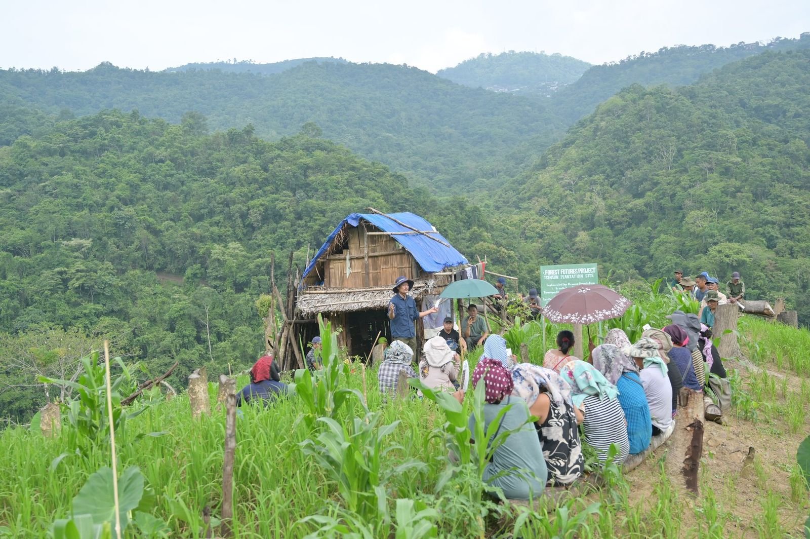 A community consultation on a cleared hillside