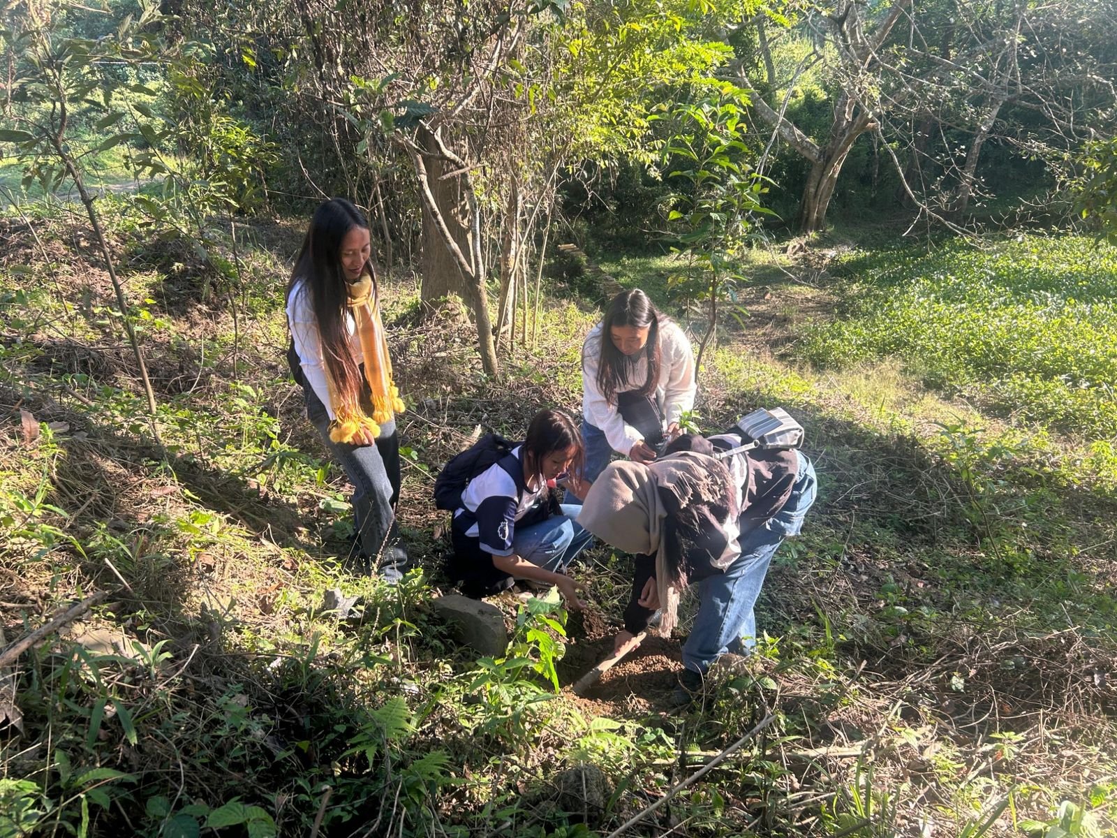 Students planting a native seedling in the reserve