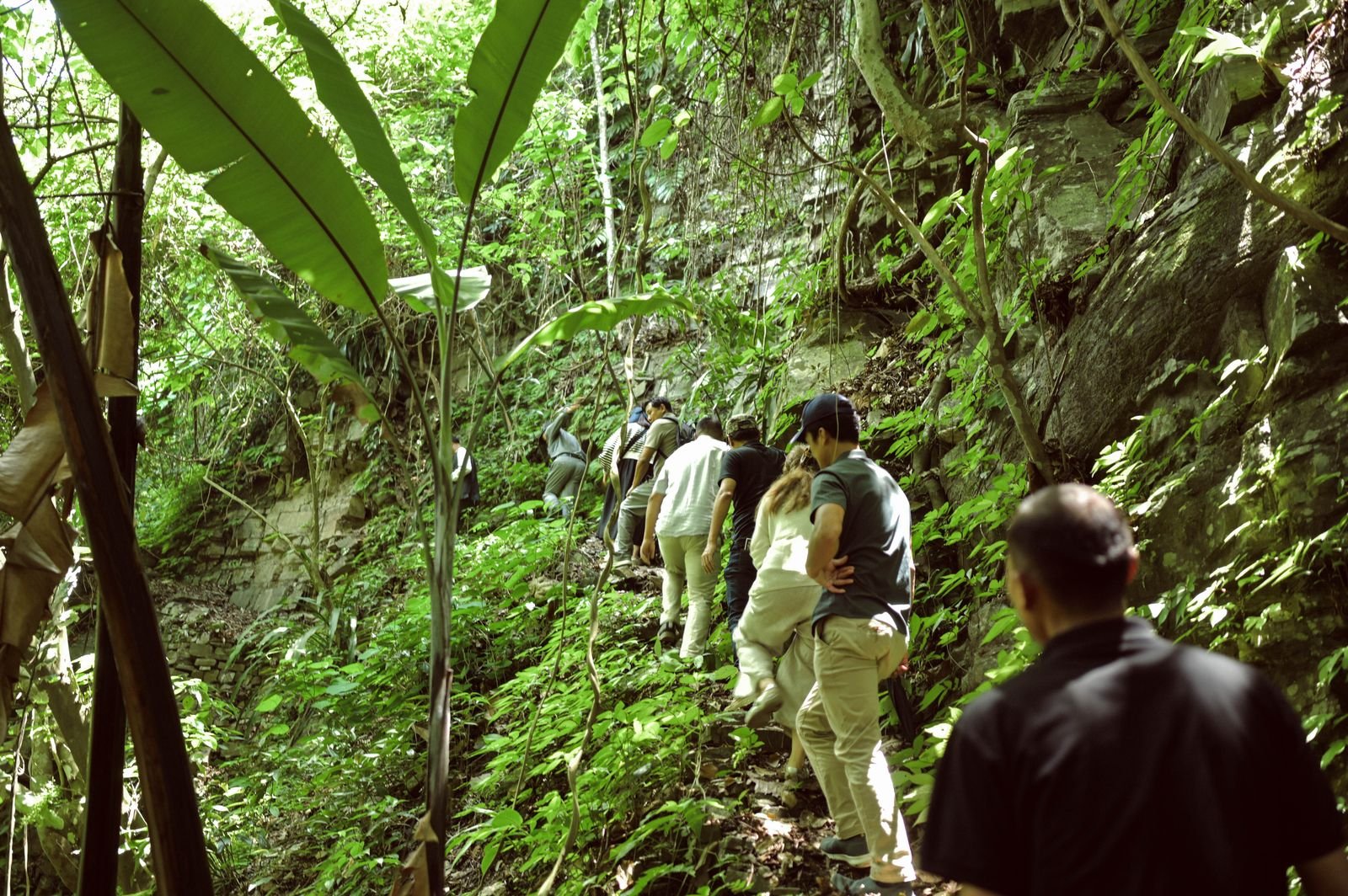 Visitors climbing the forest trail through the reserve